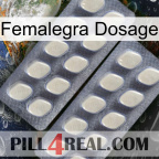 Femalegra Dosage 07